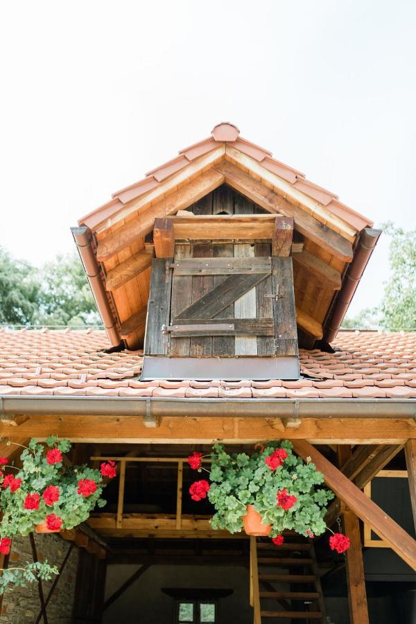 Pension Zwicker Prešov Exteriör bild