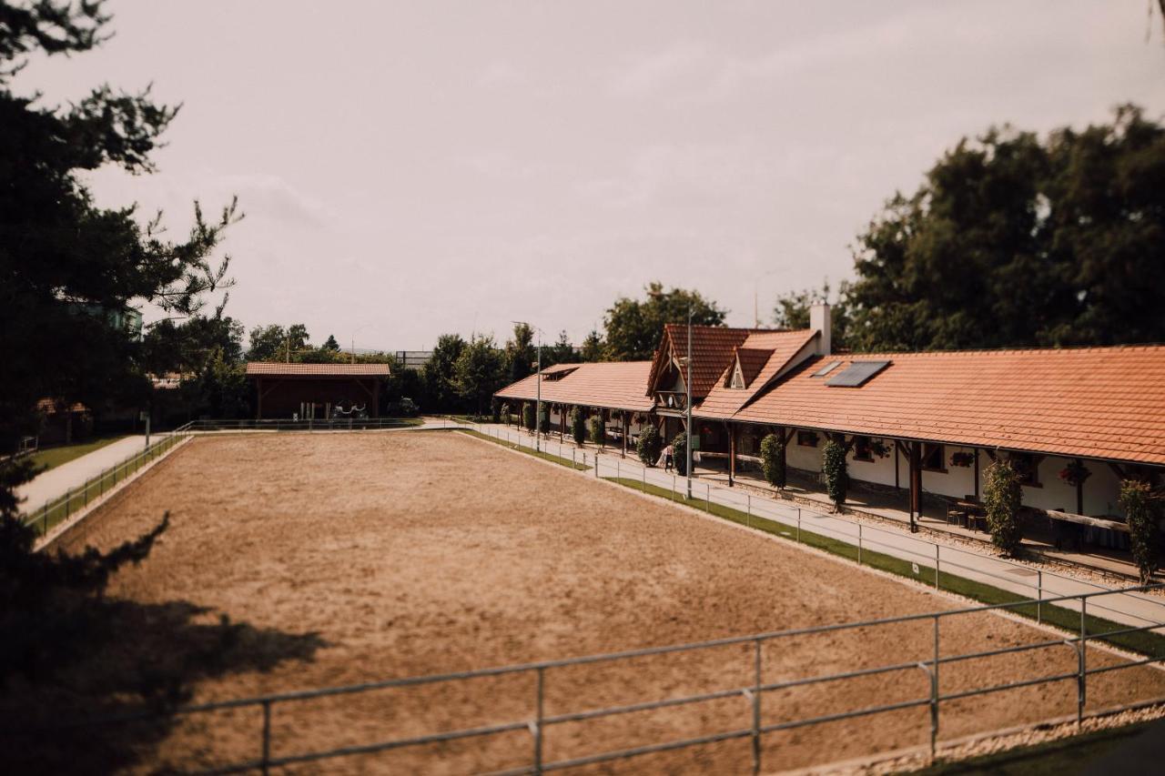 Pension Zwicker Prešov Exteriör bild