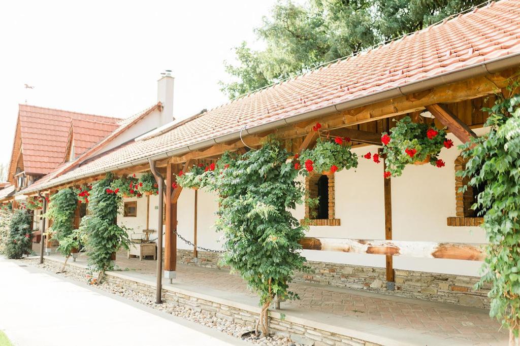 Pension Zwicker Prešov Exteriör bild